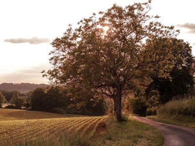 camping Slow Village Séveilles photo 8