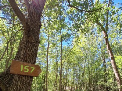 Cliquez pour découvrir toutes les photos de l'HÉBERGEMENT ! tente en toile et bois - Valbonheur photo 6