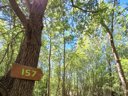 Cliquez pour découvrir toutes les photos de l'HÉBERGEMENT ! tente en toile et bois - camping Valbonheur photo 6