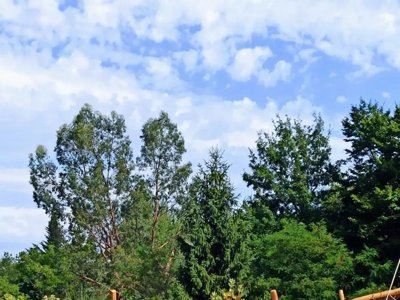 Cliquez pour découvrir toutes les photos de l'ÉTABLISSEMENT ! camping Les Charmes photo 9