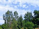 Cliquez pour découvrir toutes les photos de l'ÉTABLISSEMENT ! camping Les Charmes photo 9