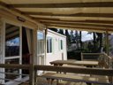 Cliquez pour découvrir toutes les photos de l'HÉBERGEMENT ! mobil-home - camping Flower Le Belvédère photo 8