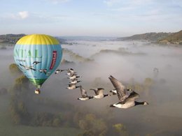 Camping Pas Cher vous présente avec son site Officiel campingpascher.fr, le Camping Flower Le Belvédère classé 4 étoiles, situé sur la commune de Neuveglise dans le département Cantal (Auvergne) en France. Le camping Flower Le Belvédère, vous présente un hébergement de type mobil-home de 26 m² pour 4 personnes et télévision. Le camping Flower Le Belvédère vous propose du sam. 11 avril au sam. 18 avril 2026 pour 7 nuits à 280€. Cette location propose 73 dates différentes pour réserver votre séjour. Découvrez également les 16 autres gammes d'hébergements du camping. Les Avis clients pour le Camping Flower Le Belvédère sont de 7 sur 10. LacRivière, Bassin enfant, Piscine couverte, Piscine extérieure, Animations familiales, Club ados, Club enfants, Aire de jeux enfants, Aire de jeux intérieure, Baby-foot, Canoë-kayak, Canyoning, Centre équestre, Court de tennis, Escalade, Golf, Jet-ski, Location de bateaux, Paddle, Ping-pong, Piscine, Planche à voile, Pédalo, Pétanque, Rafting, Randonnée, Salle de fitness, Ski nautique, Terrain multisports, Tir à l’arc, Voile, Bar, Boulangerie, Restaurant, Snack/Bar, Épicerie,... En savoir plus : cliquez-ICI.
