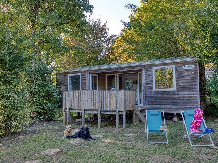 Camping Pas Cher vous présente avec son site Officiel campingpascher.fr, le Camping Brin D'amour classé 3 étoiles, situé sur la commune de Les Eyzies De Tayac Sireuil dans le département Dordogne (Aquitaine) en France. Le camping Brin D'amour, vous présente un hébergement de type mobil-home de 28 m² pour 4 personnes. Le camping Brin D'amour vous propose du sam. 27 juin au sam. 04 juillet 2026, en promotion à -25% pour 7 nuits à 216,75 € au lieu de 289,0 € soit une Économie de 72,25 €. Cette location propose 13 dates différentes pour réserver votre séjour. Découvrez également les 21 autres gammes d'hébergements du camping. Les Avis clients pour le Camping Brin D'amour sont excellents avec une note moyenne de 8 sur 10. Piscine chauffée, Piscine extérieure, Animations familiales, Club enfants, Aire de jeux enfants, Baby-foot, Ping-pong, Piscine, Pétanque, Salle de jeux vidéo, Structure gonflable enfants, Terrain multisports, Tir à l’arc, Trampoline, Bar, Dépôt de pain, Plats à emporter, Snack/Bar,... En savoir plus : cliquez-ICI.