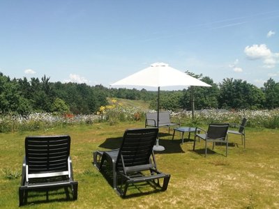 Cliquez pour découvrir toutes les photos de l'HÉBERGEMENT ! mobil-home - Brin D'amour photo 7