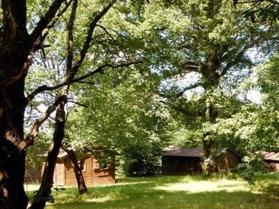 chalet - Brin D'amour photo 3