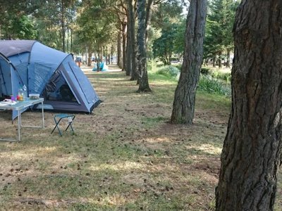 camping De La Seuge photo 8