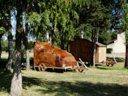 Cliquez pour découvrir toutes les photos de l'HÉBERGEMENT ! hébergement insolite - camping De La Seuge photo 4