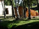 Cliquez pour découvrir toutes les photos de l'HÉBERGEMENT ! hébergement insolite - camping De La Seuge photo 8