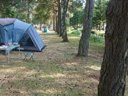 camping De La Seuge photo 8