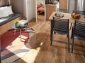 Cliquez pour découvrir toutes les photos de l'HÉBERGEMENT ! mobilhome - établissement La Combe D'Oyans photo 2