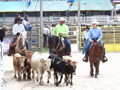 camping Douce Ardèche photo 25