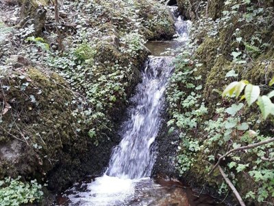 Cliquez pour découvrir toutes les photos de l'ÉTABLISSEMENT ! camping Les Roches photo 14