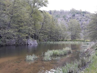 Cliquez pour découvrir toutes les photos de l'ÉTABLISSEMENT ! camping Les Roches photo 16