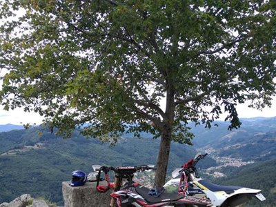 Cliquez pour découvrir toutes les photos de l'ÉTABLISSEMENT ! camping Les Roches photo 19