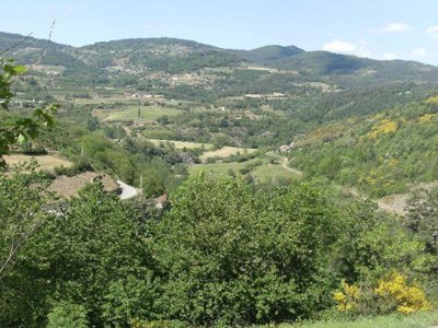 Cliquez pour découvrir toutes les photos de l'ÉTABLISSEMENT ! camping Les Roches photo 23