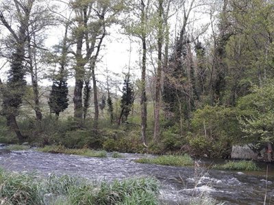 Cliquez pour découvrir toutes les photos de l'ÉTABLISSEMENT ! camping Les Roches photo 8