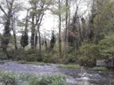 Cliquez pour découvrir toutes les photos de l'ÉTABLISSEMENT ! camping Les Roches photo 8