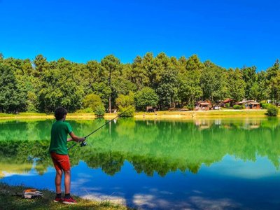 Cliquez pour découvrir toutes les photos de l'HÉBERGEMENT ! mobil-home - Gaia Ecolodge photo 9