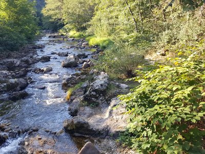 Cliquez pour découvrir toutes les photos de l'ÉTABLISSEMENT ! camping Les Berges Du Doux photo 13