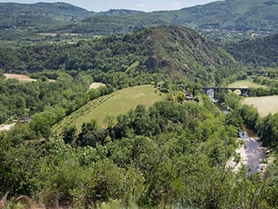 camping Le Marchand photo 4