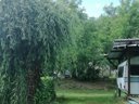 camping Le Marchand photo 2