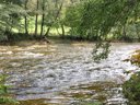 camping Le Marchand photo 3