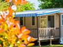 mobil-home - camping Le Paradis Carcans Lacanau photo 3