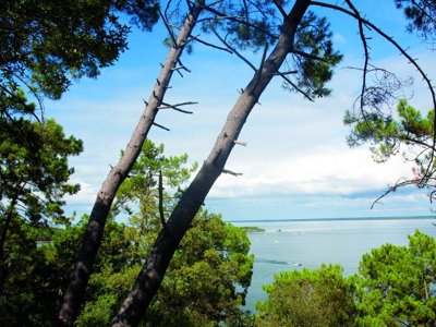 camping Le Capdeville photo 9