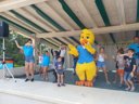 Cliquez pour découvrir toutes les photos de l'ÉTABLISSEMENT ! camping Paradis - Village De Vacances La Gineste photo 9