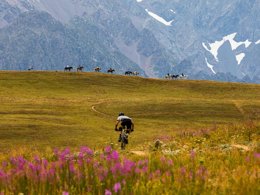 Camping Pas Cher vous présente avec son site Officiel campingpascher.fr, le Camping RCN Belledonne classé 4 étoiles, situé sur la commune de Le Bourg D'oisans dans le département Isère (Rhône Alpes) en France. Le camping RCN Belledonne, vous présente un hébergement de type mobil-home de 31 m². Le camping RCN Belledonne vous propose du sam. 25 avril au sam. 02 mai 2026 pour 7 nuits à 651€. Cette location propose 74 dates différentes pour réserver votre séjour. Découvrez également les 25 autres gammes d'hébergements du camping. Les Avis clients pour le Camping RCN Belledonne sont excellents avec une note moyenne de 8 sur 10. Bassin enfant, Piscine extérieure, Animation enfants, Animations familiales, Aire de jeux enfants, Centre équestre, Golf, Ping-pong, Pétanque, Terrain de basketball, Terrain de volley-ball, Bar, Snack/Bar, Épicerie,... En savoir plus : cliquez-ICI.