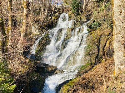 Cliquez pour découvrir toutes les photos de l'ÉTABLISSEMENT ! camping Les Bouleaux photo 13