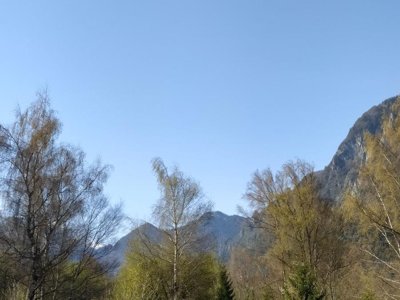Cliquez pour découvrir toutes les photos de l'ÉTABLISSEMENT ! camping Les Bouleaux photo 14
