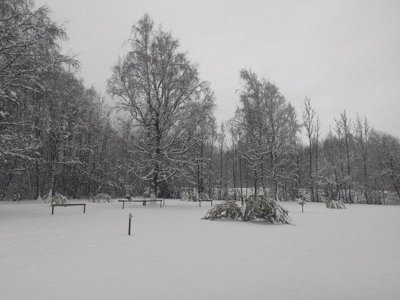 Cliquez pour découvrir toutes les photos de l'ÉTABLISSEMENT ! camping Les Bouleaux photo 24