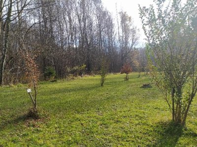 Cliquez pour découvrir toutes les photos de l'ÉTABLISSEMENT ! camping Les Bouleaux photo 8