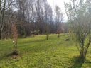 Cliquez pour découvrir toutes les photos de l'ÉTABLISSEMENT ! camping Les Bouleaux photo 8