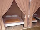 Cliquez pour découvrir toutes les photos de l'HÉBERGEMENT ! bungalow toilé - camping L'Orée Du Bois photo 2