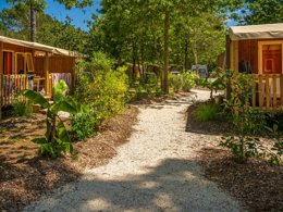 Camping Pas Cher vous présente avec son site Officiel campingpascher.fr, le Camping L'Oree Du Bois classé 4 étoiles, situé sur la commune de Hourtin dans le département Gironde (Aquitaine) en France. Le camping L'Oree Du Bois vous propose un hébergement de type mobil-home de 30 m² pour 8 personnes avec climatisation (télévision). L'établissement vous propose 39 autres types d'hébergements. Découvrez tous nos séjours à petits prix dans la commune et aux alentours de Hourtin du département : Gironde (Aquitaine). Les Avis clients pour le Camping L'Oree Du Bois sont excellents avec une note moyenne de 8 sur 10. Piscine chauffée, Piscine couverte, Animation ados, Animations familiales, Club enfants, Aire de jeux enfants, Baby-foot, Canoë-kayak, Centre équestre, Golf, Location de bateaux, Paddle, Ping-pong, Piscine, Pétanque, Ski nautique, Structure gonflable enfants, Terrain multisports, Trampoline, Bar, Plats à emporter, Snack/Bar, Supermarché,... En savoir plus : cliquez-ICI.