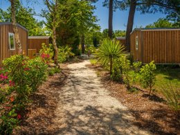 Camping Pas Cher vous présente avec son site Officiel campingpascher.fr, le Camping L'Oree Du Bois classé 4 étoiles, situé sur la commune de Hourtin dans le département Gironde (Aquitaine) en France. Le camping L'Oree Du Bois vous propose un hébergement de type mobil-home de 36 m² pour 6 personnes avec climatisation (télévision). L'établissement vous propose 39 autres types d'hébergements. Découvrez tous nos séjours à petits prix dans la commune et aux alentours de Hourtin du département : Gironde (Aquitaine). Les Avis clients pour le Camping L'Oree Du Bois sont excellents avec une note moyenne de 8 sur 10. Piscine chauffée, Piscine couverte, Animation ados, Animations familiales, Club enfants, Aire de jeux enfants, Baby-foot, Canoë-kayak, Centre équestre, Golf, Location de bateaux, Paddle, Ping-pong, Piscine, Pétanque, Ski nautique, Structure gonflable enfants, Terrain multisports, Trampoline, Bar, Plats à emporter, Snack/Bar, Supermarché,... En savoir plus : cliquez-ICI.