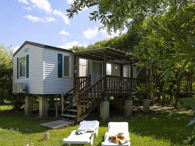 Cliquez pour découvrir toutes les photos de l'ÉTABLISSEMENT ! camping La Dordogne Verte photo 23