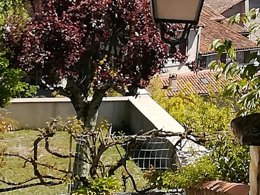 Camping Pas Cher vous présente avec son site Officiel campingpascher.fr, le Camping La Dordogne Verte classé 3 étoiles, situé sur la commune de Saint Aulaye dans le département Dordogne (Aquitaine) en France. Le camping La Dordogne Verte, vous présente un hébergement de type tente de 25 m². Le camping La Dordogne Verte vous propose du mardi 26 mai au mardi 02 juin 2026 pour 7 nuits à 210€. Cette location propose 109 dates différentes pour réserver votre séjour. Découvrez également les 14 autres gammes d'hébergements du camping. Les Avis clients pour le Camping La Dordogne Verte sont de 7 sur 10. Piscine chauffée, Piscine extérieure, Canoë-kayak, Ping-pong, Pétanque, Structure gonflable enfants, Terrain de football, Terrain de volley-ball, Trampoline, Bar, Dépôt de pain, Épicerie,... En savoir plus : cliquez-ICI.