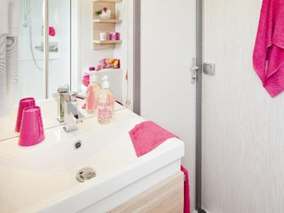 Cliquez pour découvrir toutes les photos de l'HÉBERGEMENT ! mobil-home - Flower La Châtaigneraie photo 7