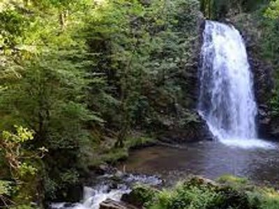 Cliquez pour découvrir toutes les photos de l'ÉTABLISSEMENT ! camping La Petite Rivière photo 20