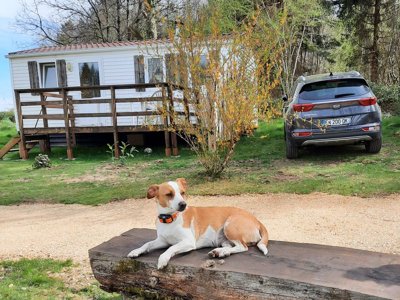 Cliquez pour découvrir toutes les photos de l'ÉTABLISSEMENT ! camping La Petite Rivière photo 22