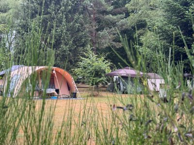 Cliquez pour découvrir toutes les photos de l'ÉTABLISSEMENT ! camping Domaine De Lallé photo 30