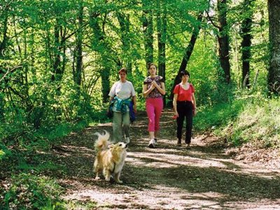 camping Du Lac De Bournazel photo 14
