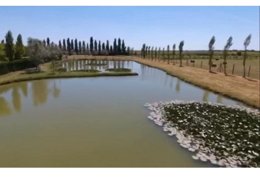 Camping Pas Cher vous présente avec son site Officiel campingpascher.fr, le Camping De L'Estuaire classé 4 étoiles, situé sur la commune de Saint Thomas De Conac dans le département Charente-maritime (Poitou Charentes) en France. Le camping De L'Estuaire, vous présente un hébergement de type bungalow de 18 m² pour 4 personnes et télévision. Le camping De L'Estuaire vous propose du sam. 04 juillet au sam. 11 juillet 2026 pour 7 nuits à 400€. Cette location propose 8 dates différentes pour réserver votre séjour. Découvrez également les 10 autres gammes d'hébergements du camping. Les Avis clients pour le Camping De L'Estuaire sont excellents avec une note moyenne de 8 sur 10. MerRivièreÉtang, Piscine extérieure, Animation enfants, Animations familiales, Aire de jeux enfants, Baby-foot, Centre équestre, Court de tennis, Cyclisme, Golf, Ping-pong, Piscine, Pétanque, Randonnée, Salle de fitness, Voile, Dépôt de pain, Pizzeria, Plats à emporter, Snack/Bar, Supermarché, Épicerie,... En savoir plus : cliquez-ICI.