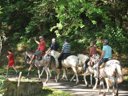 Cliquez pour découvrir toutes les photos de l'ÉTABLISSEMENT ! établissement Le Moulin Du Châtain photo 8