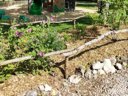 Cliquez pour découvrir toutes les photos de l'ÉTABLISSEMENT ! camping Des Tourbières photo 3