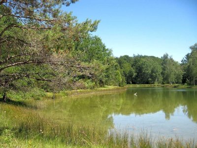 camping L'Etang Bleu photo 14